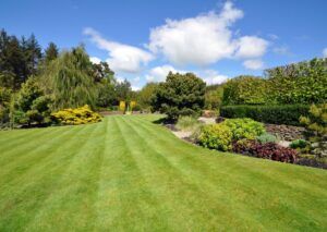 English garden