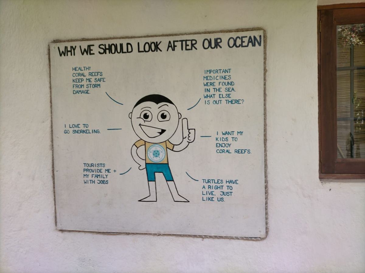 Why the ocean benefits us