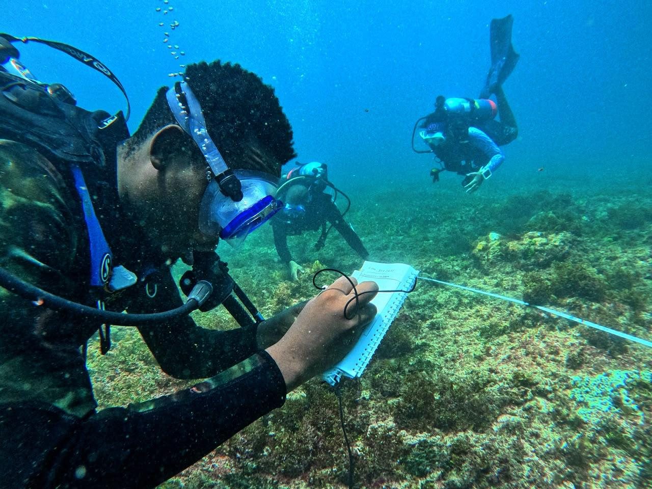 Recording a reef survey along a transect