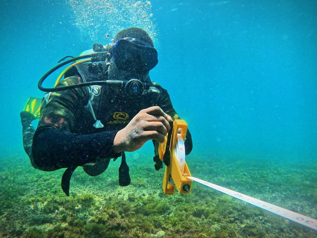 Laying the transect tape
